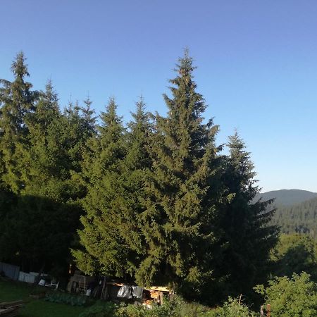 Kuca Za Odmor "Jasna" Apartamento Crni Lug Exterior foto
