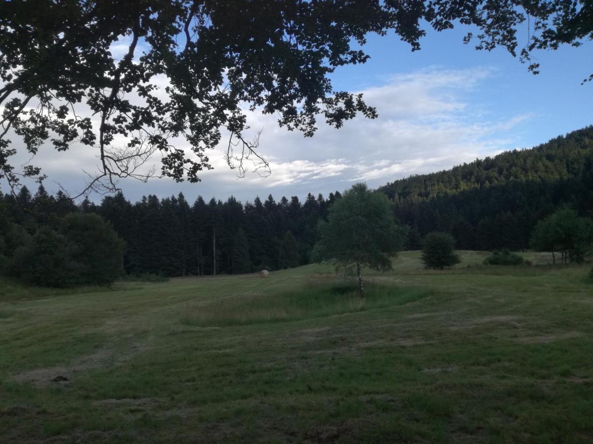 Kuca Za Odmor "Jasna" Apartamento Crni Lug Exterior foto