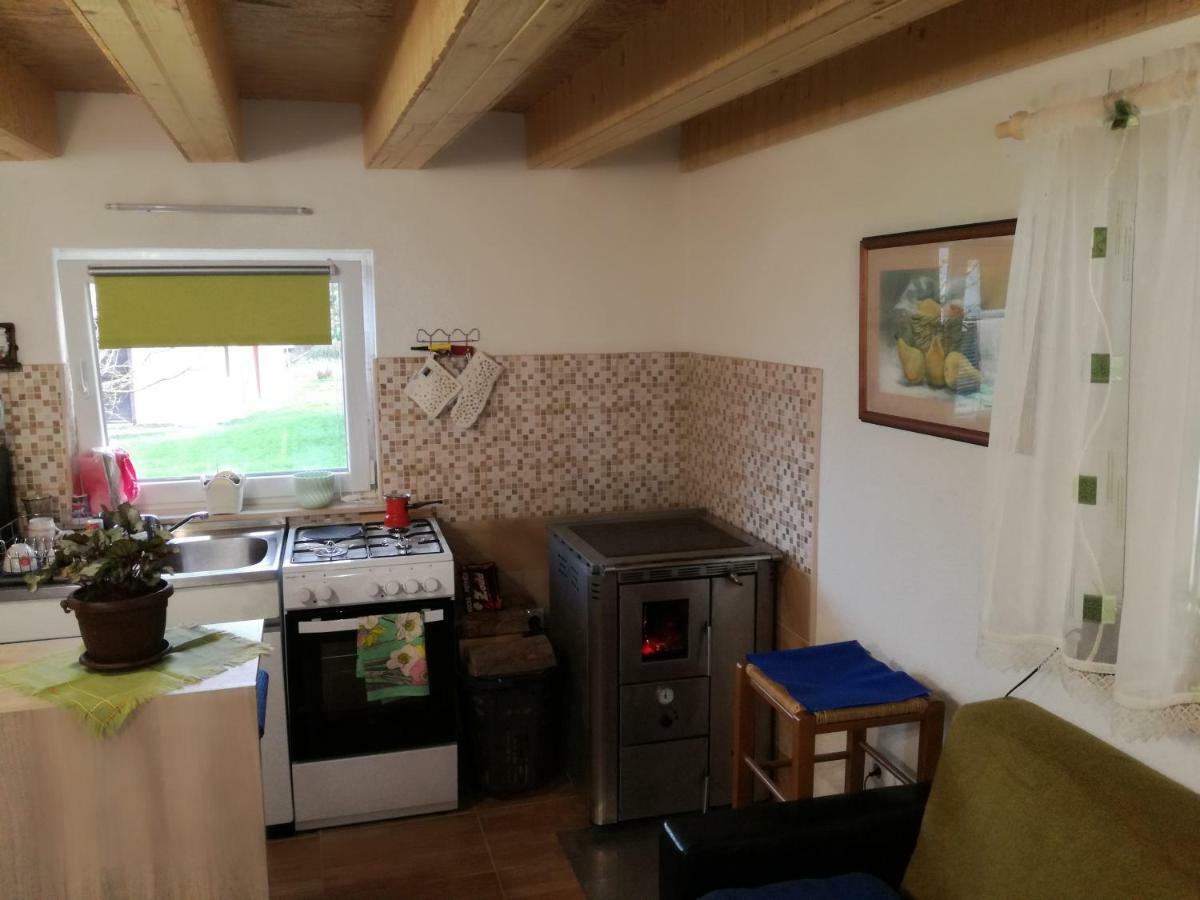 Kuca Za Odmor "Jasna" Apartamento Crni Lug Exterior foto