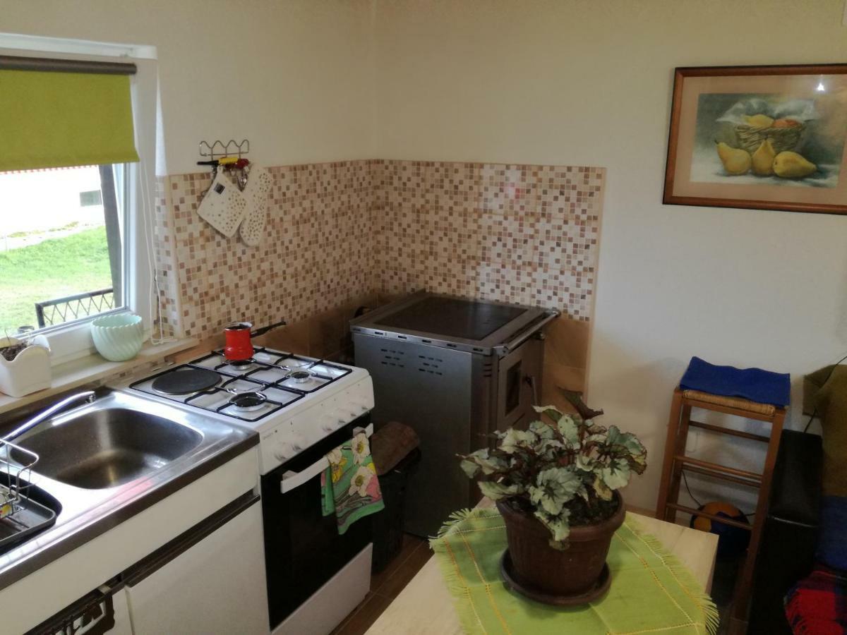 Kuca Za Odmor "Jasna" Apartamento Crni Lug Exterior foto