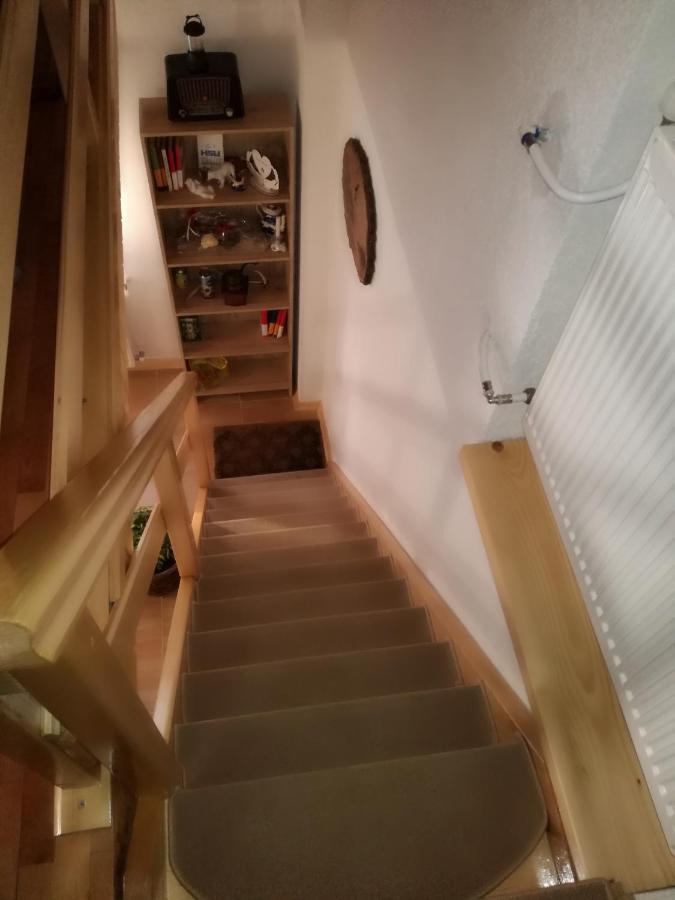 Kuca Za Odmor "Jasna" Apartamento Crni Lug Exterior foto